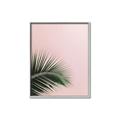 Picture of Leaves on Pink _GroupedProduct_Rectangle_Portrait_Photography _GroupedProduct_Rectangle_Portrait_Canvas_Framed_