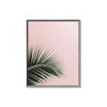 Picture of Leaves on Pink _GroupedProduct_Rectangle_Portrait_Photography _GroupedProduct_Rectangle_Portrait_Canvas_Framed_
