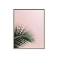 Picture of Leaves on Pink _GroupedProduct_Rectangle_Portrait_Photography _GroupedProduct_Rectangle_Portrait_Canvas_Framed_