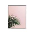 Picture of Leaves on Pink _GroupedProduct_Rectangle_Portrait_Photography _GroupedProduct_Rectangle_Portrait_Canvas_Framed_