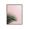 Picture of Leaves on Pink _GroupedProduct_Rectangle_Portrait_Photography _GroupedProduct_Rectangle_Portrait_Canvas_Framed_