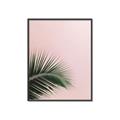 Picture of Leaves on Pink _GroupedProduct_Rectangle_Portrait_Photography _GroupedProduct_Rectangle_Portrait_Canvas_Framed_