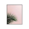 Picture of Leaves on Pink _GroupedProduct_Rectangle_Portrait_Photography _GroupedProduct_Rectangle_Portrait_Canvas_Framed_