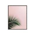 Picture of Leaves on Pink _GroupedProduct_Rectangle_Portrait_Photography _GroupedProduct_Rectangle_Portrait_Canvas_Framed_
