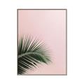 Picture of Leaves on Pink _GroupedProduct_Rectangle_Portrait_Photography _GroupedProduct_Rectangle_Portrait_Canvas_Framed_