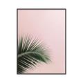 Picture of Leaves on Pink _GroupedProduct_Rectangle_Portrait_Photography _GroupedProduct_Rectangle_Portrait_Canvas_Framed_