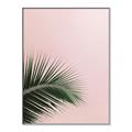 Picture of Leaves on Pink _GroupedProduct_Rectangle_Portrait_Photography _GroupedProduct_Rectangle_Portrait_Canvas_Framed_