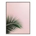Picture of Leaves on Pink _GroupedProduct_Rectangle_Portrait_Photography _GroupedProduct_Rectangle_Portrait_Canvas_Framed_