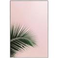 Picture of Leaves on Pink _GroupedProduct_Rectangle_Portrait_Photography _GroupedProduct_Rectangle_Portrait_Canvas_Framed_