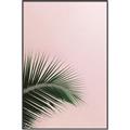Picture of Leaves on Pink _GroupedProduct_Rectangle_Portrait_Photography _GroupedProduct_Rectangle_Portrait_Canvas_Framed_