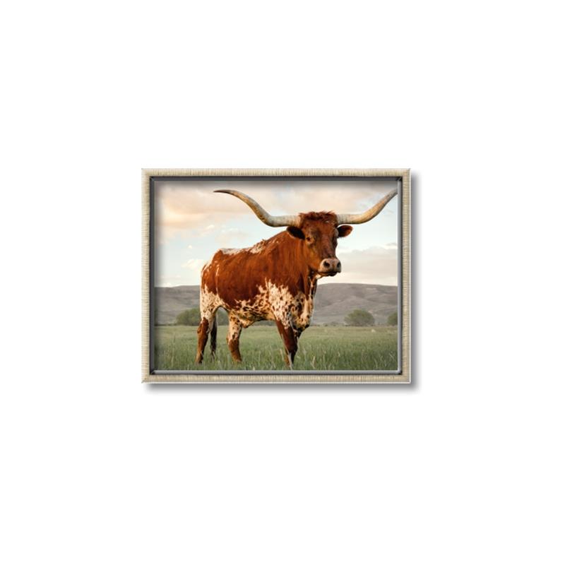 Picture of Life of a Bull _GroupedProduct_Rectangle_Landscape_Photography _GroupedProduct_Rectangle_Landscape_Canvas_Framed_