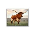 Picture of Life of a Bull _GroupedProduct_Rectangle_Landscape_Photography _GroupedProduct_Rectangle_Landscape_Canvas_Framed_