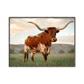 Picture of Life of a Bull _GroupedProduct_Rectangle_Landscape_Photography _GroupedProduct_Rectangle_Landscape_Canvas_Framed_
