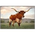Picture of Life of a Bull _GroupedProduct_Rectangle_Landscape_Photography _GroupedProduct_Rectangle_Landscape_Canvas_Framed_