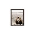 Picture of Lion Stare _GroupedProduct_Rectangle_Portrait_Photography _GroupedProduct_Rectangle_Portrait_Canvas_Framed_