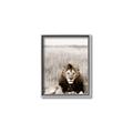 Picture of Lion Stare _GroupedProduct_Rectangle_Portrait_Photography _GroupedProduct_Rectangle_Portrait_Canvas_Framed_