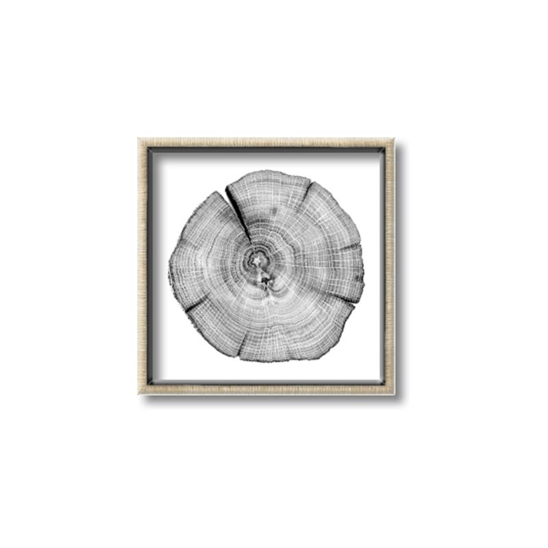 Picture of Logging In _GroupedProduct_Square_Photography _GroupedProduct_Square_Canvas_Framed_