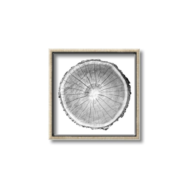 Picture of Logging In ll _GroupedProduct_Square_Photography _GroupedProduct_Square_Canvas_Framed_
