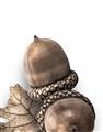 Picture of Fallen Acorns _GroupedProduct_Rectangle_Portrait_Photography _GroupedProduct_Rectangle_Portrait_Unframed_Print_Only_