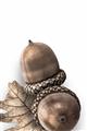 Picture of Fallen Acorns _GroupedProduct_Rectangle_Portrait_Photography _GroupedProduct_Rectangle_Portrait_Unframed_Print_Only_