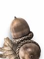 Picture of Fallen Acorns _GroupedProduct_Rectangle_Portrait_Photography _GroupedProduct_Rectangle_Portrait_Unframed_Print_Only_