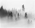 Picture of In the Fog _GroupedProduct_Rectangle_Landscape_Photography _GroupedProduct_Rectangle_Landscape_Unframed_Print_Only_