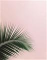 Picture of Leaves on Pink _GroupedProduct_Rectangle_Portrait_Photography _GroupedProduct_Rectangle_Portrait_Unframed_Print_Only_