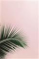 Picture of Leaves on Pink _GroupedProduct_Rectangle_Portrait_Photography _GroupedProduct_Rectangle_Portrait_Unframed_Print_Only_