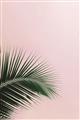 Picture of Leaves on Pink _GroupedProduct_Rectangle_Portrait_Photography _GroupedProduct_Rectangle_Portrait_Unframed_Print_Only_