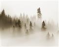 Picture of In the Fog _GroupedProduct_Rectangle_Landscape_Photography _GroupedProduct_Rectangle_Landscape_Unframed_Print_Only_
