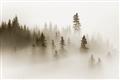Picture of In the Fog _GroupedProduct_Rectangle_Landscape_Photography _GroupedProduct_Rectangle_Landscape_Unframed_Print_Only_