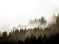 Picture of In the Mist _GroupedProduct_Rectangle_Landscape_Photography _GroupedProduct_Rectangle_Landscape_Unframed_Print_Only_