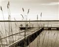 Picture of Lake Life _GroupedProduct_Rectangle_Landscape_Photography _GroupedProduct_Rectangle_Landscape_Unframed_Print_Only_