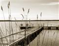 Picture of Lake Life _GroupedProduct_Rectangle_Landscape_Photography _GroupedProduct_Rectangle_Landscape_Unframed_Print_Only_