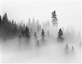 Picture of In the Fog _GroupedProduct_Rectangle_Landscape_Photography _GroupedProduct_Rectangle_Landscape_Unframed_Print_Only_