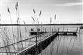 Picture of Lake Life _GroupedProduct_Rectangle_Landscape_Photography _GroupedProduct_Rectangle_Landscape_Unframed_Print_Only_