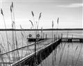 Picture of Lake Life _GroupedProduct_Rectangle_Landscape_Photography _GroupedProduct_Rectangle_Landscape_Unframed_Print_Only_