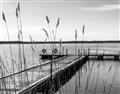 Picture of Lake Life _GroupedProduct_Rectangle_Landscape_Photography _GroupedProduct_Rectangle_Landscape_Unframed_Print_Only_