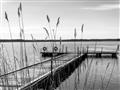 Picture of Lake Life _GroupedProduct_Rectangle_Landscape_Photography _GroupedProduct_Rectangle_Landscape_Unframed_Print_Only_