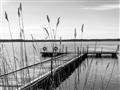 Picture of Lake Life _GroupedProduct_Rectangle_Landscape_Photography _GroupedProduct_Rectangle_Landscape_Unframed_Print_Only_