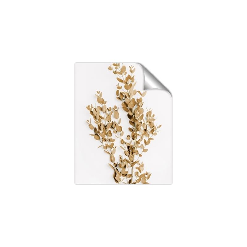 Picture of Dried Eucalyptus   _GroupedProduct_Rectangle_Portrait_Photography _GroupedProduct_Rectangle_Portrait_Unframed_Print_Only_