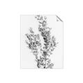 Picture of Dried Eucalyptus   _GroupedProduct_Rectangle_Portrait_Photography _GroupedProduct_Rectangle_Portrait_Unframed_Print_Only_