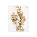 Picture of Dried Eucalyptus   _GroupedProduct_Rectangle_Portrait_Photography _GroupedProduct_Rectangle_Portrait_Unframed_Print_Only_