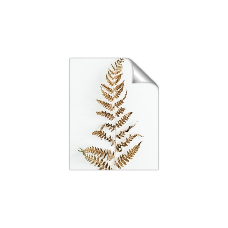 Picture of Dried Fern Leaf  _GroupedProduct_Rectangle_Portrait_Photography _GroupedProduct_Rectangle_Portrait_Unframed_Print_Only_