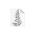 Picture of Dried Fern Leaf  _GroupedProduct_Rectangle_Portrait_Photography _GroupedProduct_Rectangle_Portrait_Unframed_Print_Only_