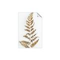 Picture of Dried Fern Leaf  _GroupedProduct_Rectangle_Portrait_Photography _GroupedProduct_Rectangle_Portrait_Unframed_Print_Only_