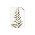 Picture of Dried Fern Leaf  _GroupedProduct_Rectangle_Portrait_Photography _GroupedProduct_Rectangle_Portrait_Unframed_Print_Only_