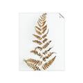 Picture of Dried Fern Leaf  _GroupedProduct_Rectangle_Portrait_Photography _GroupedProduct_Rectangle_Portrait_Unframed_Print_Only_