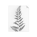 Picture of Dried Fern Leaf  _GroupedProduct_Rectangle_Portrait_Photography _GroupedProduct_Rectangle_Portrait_Unframed_Print_Only_
