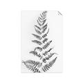 Picture of Dried Fern Leaf  _GroupedProduct_Rectangle_Portrait_Photography _GroupedProduct_Rectangle_Portrait_Unframed_Print_Only_